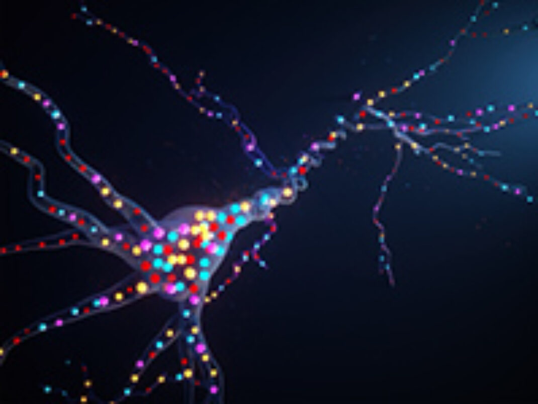 KRaION: affinity-tuned genetically encoded fluorescent potassium ...